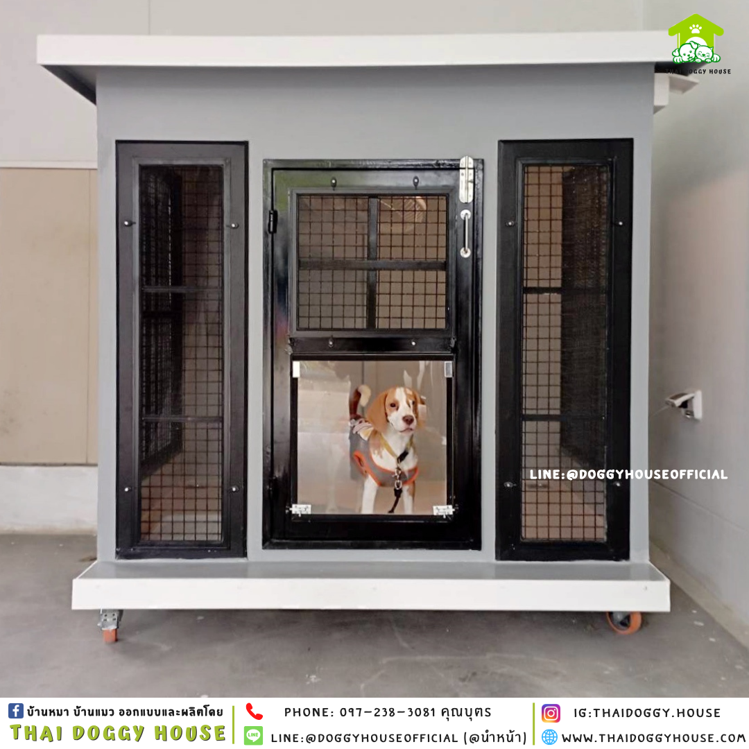 บ้านหมา แบบบ้าน 𝑩𝑶𝑿 𝑺𝑻𝒀𝑳𝑬