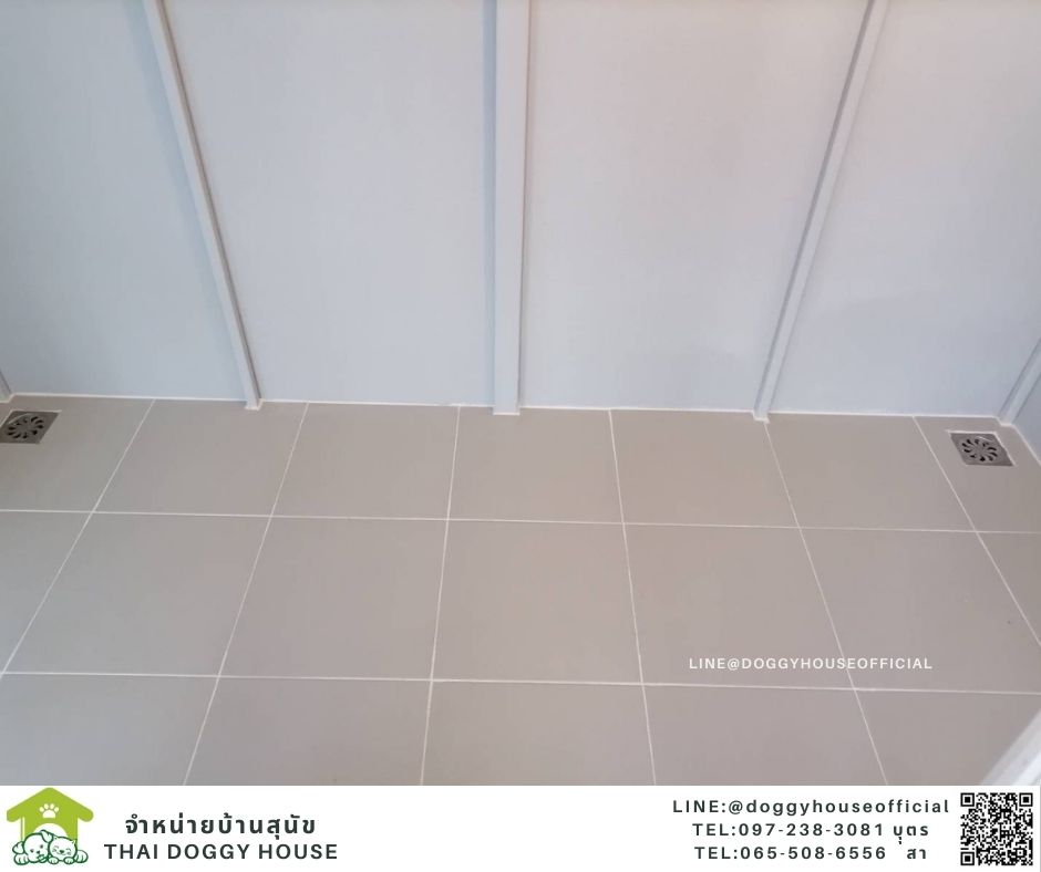 บ้านหมา