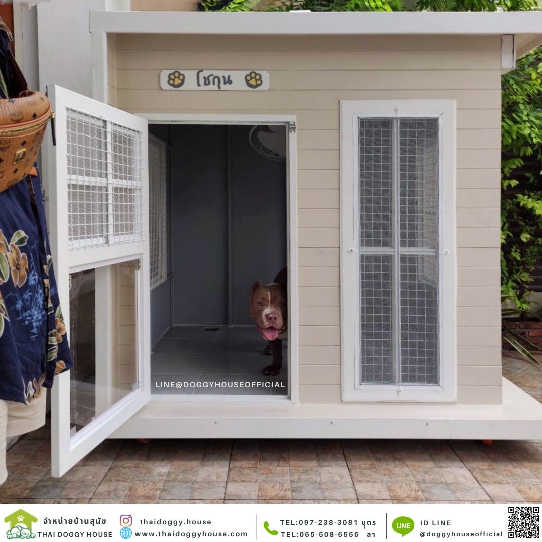 บ้านหมา รุ่นยอดฮิต