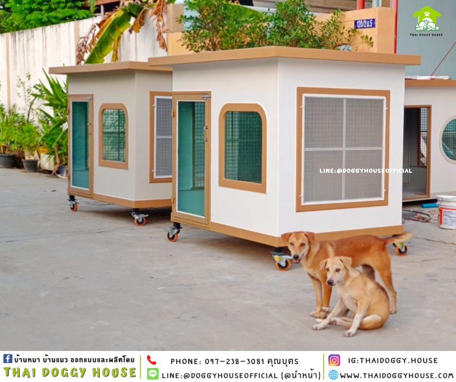 บ้านหมา แบบบ้าน 𝐁𝐎𝐗 𝐒𝐓𝐘𝐋𝐄