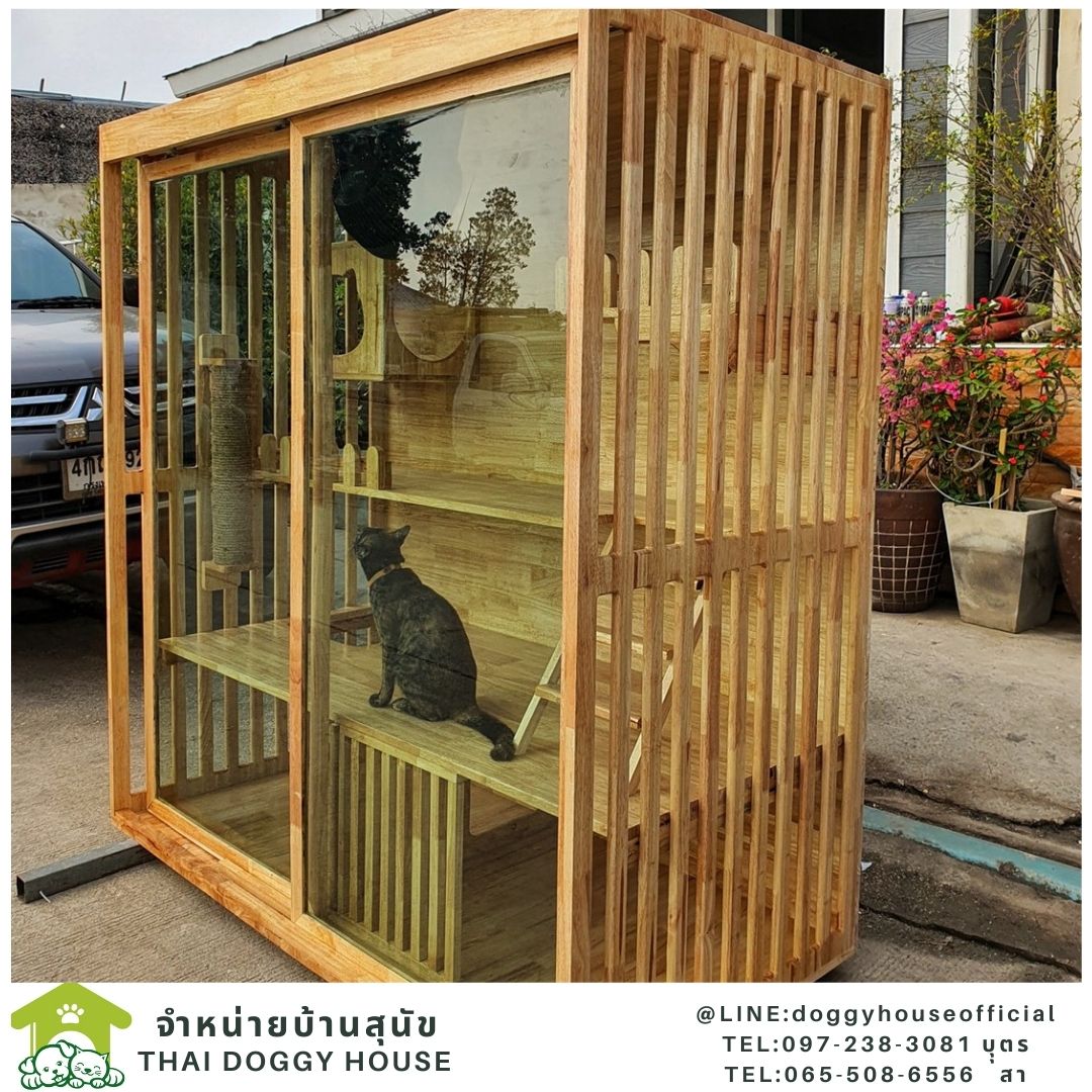 บ้านแมว สไตล์มินิมอล