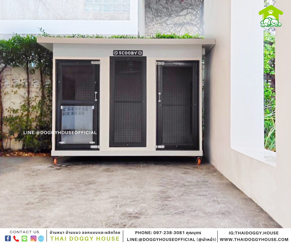บ้านหมา 2 ประตู Box style