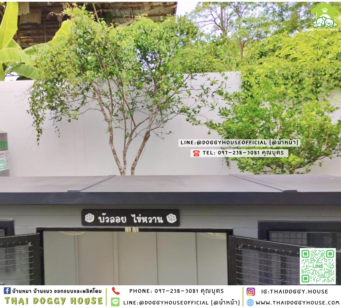 🏡บ้านหมา มุ้งลวด แบบบ้าน 𝐁𝐎𝐗 𝐒𝐓𝐘𝐋𝐄 ✨