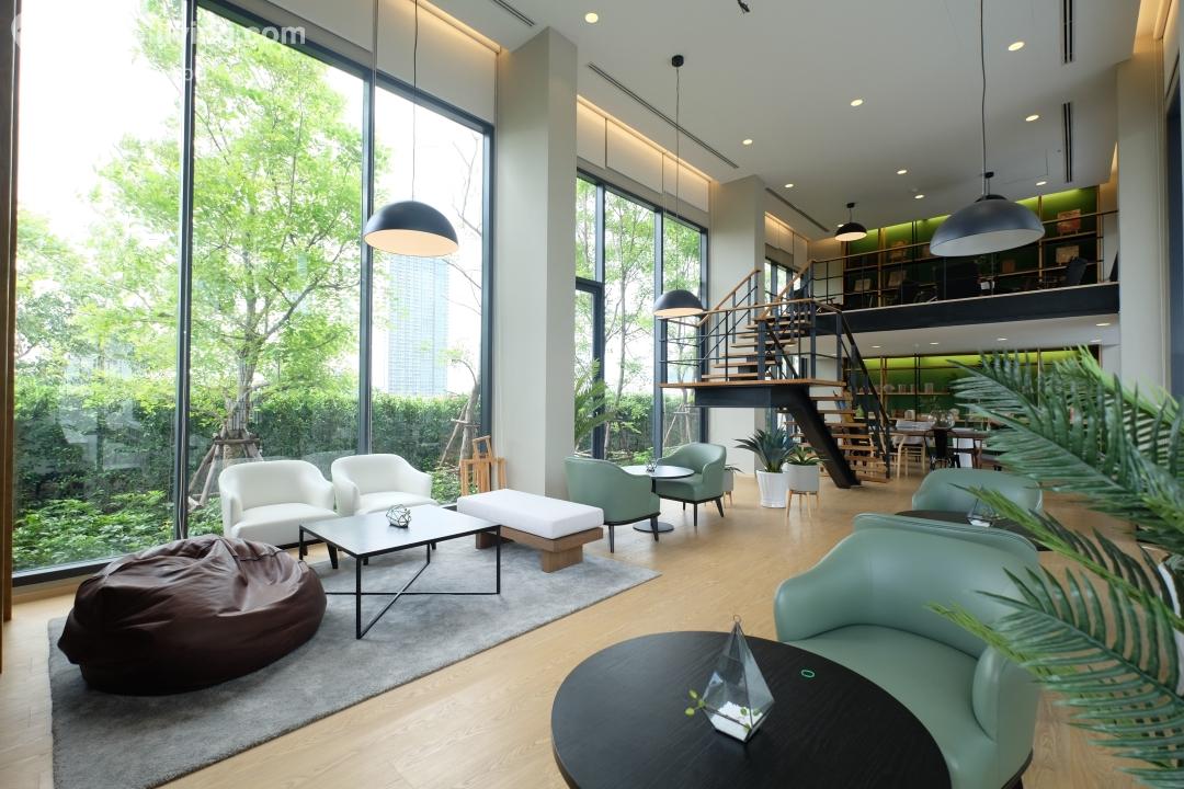 Chapter One Shine Bangpo