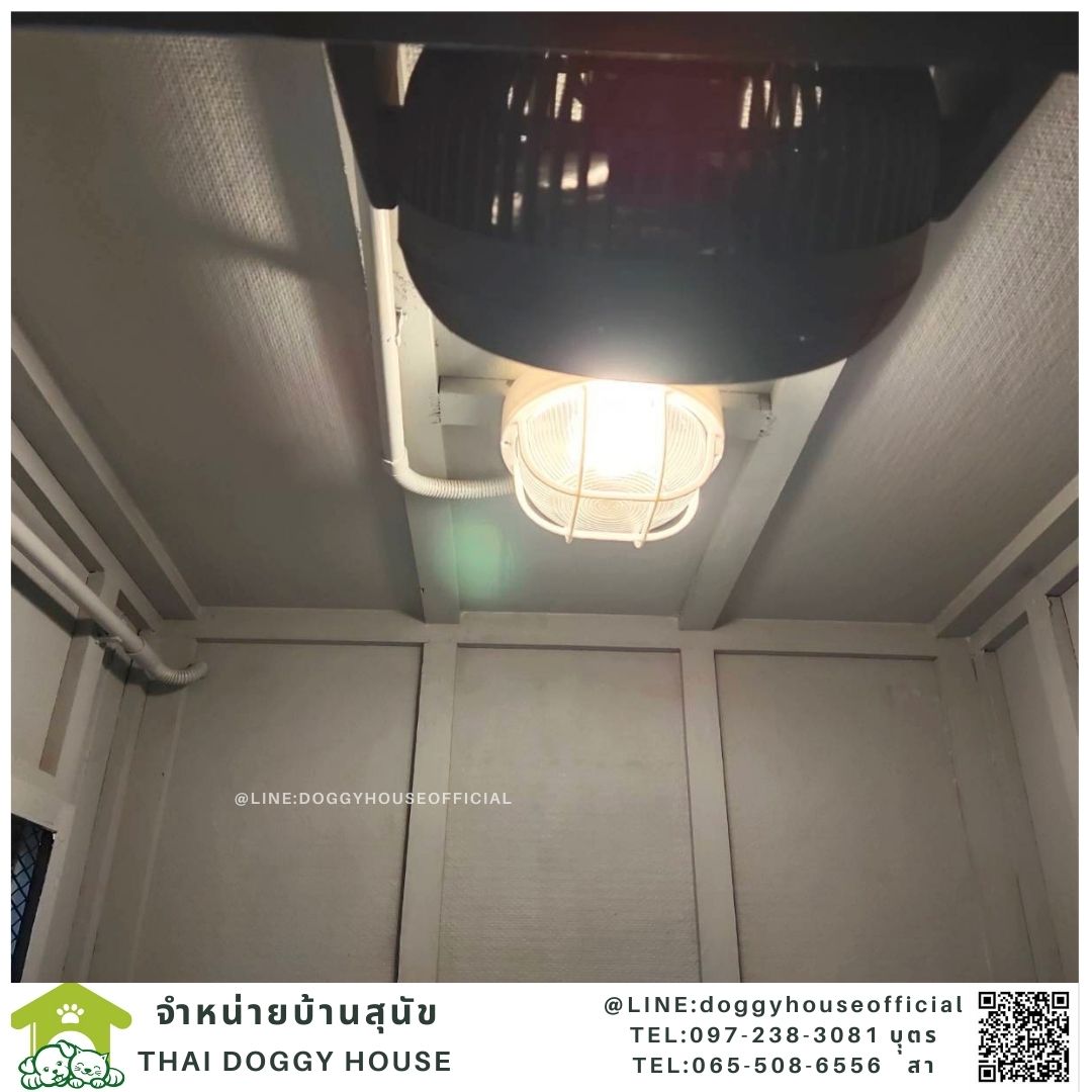 บ้านหมาทรงBOX