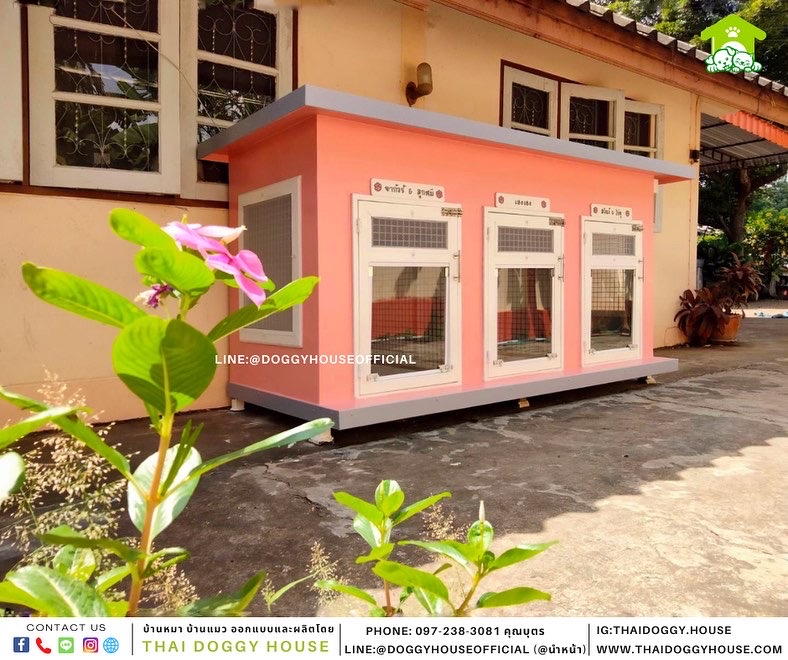 บ้านหมา 3ประตู แบบบ้าน Box Style