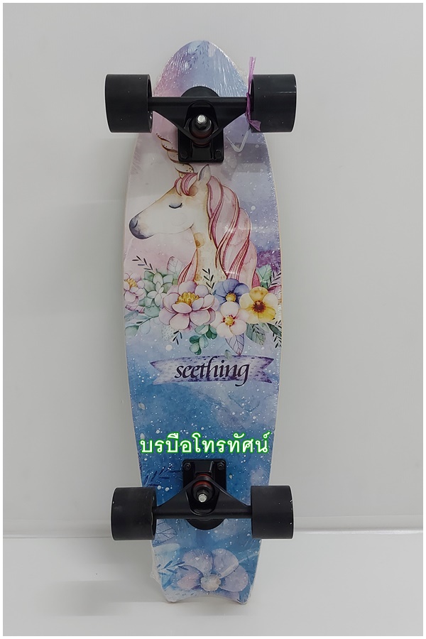 เซิร์ฟสเก็ต Skateboards สเก็ตบอร์ด โรลเลอร์เบลด