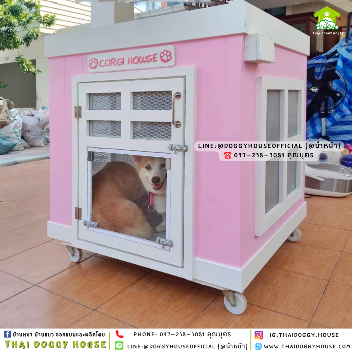 บ้านหมา มีมุ้งลวด + ตะแกรงเหล็ก ทรง 𝐁𝐎𝐗 𝐒𝐓𝐘𝐋𝐄