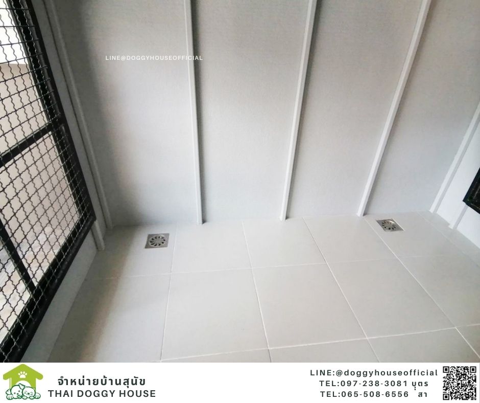 บ้านหมา ทรงจั่ว