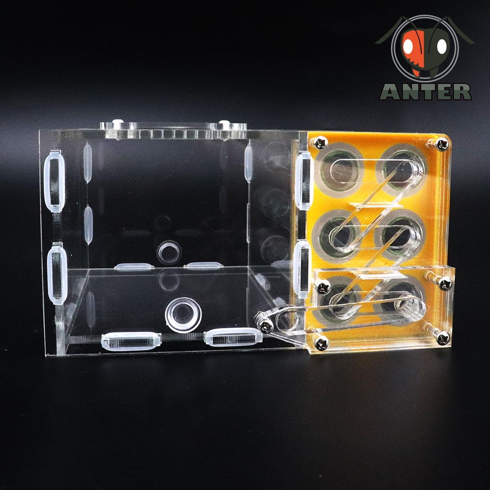 รังมด บ้านมดแบบหลอดทดลองสามชั้น รุ่น Revolver (6 หลอด)