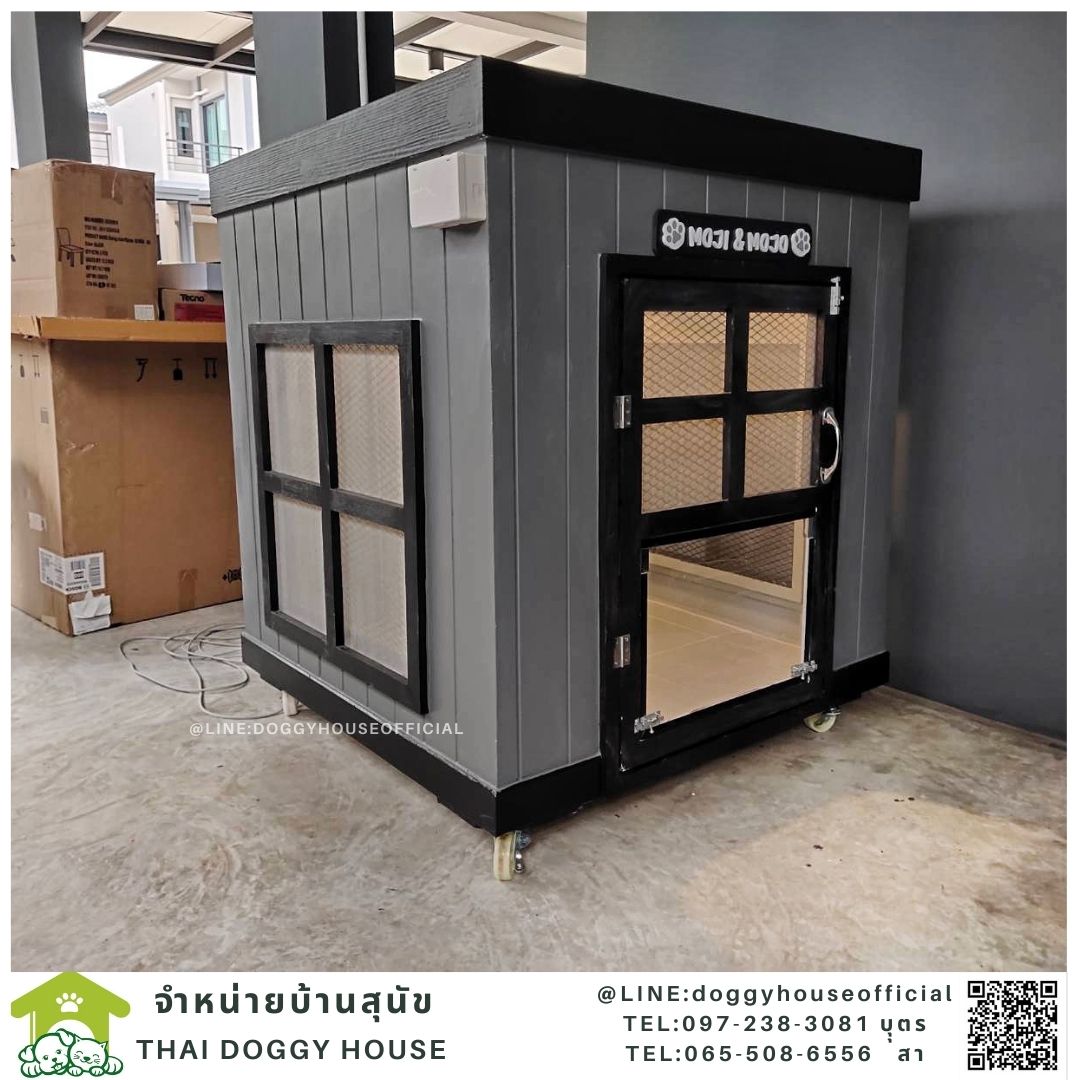 บ้านหมาทรงBOX