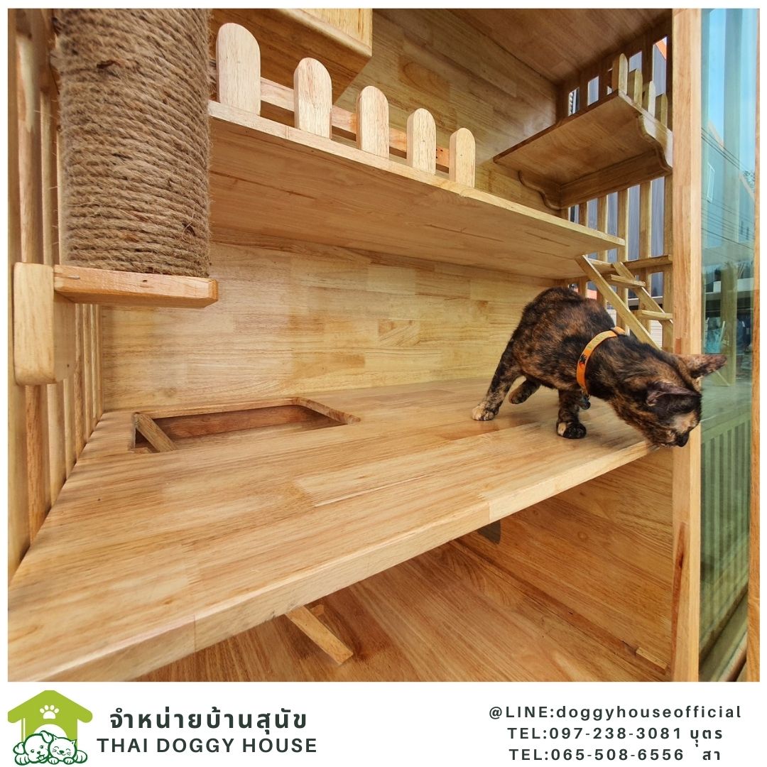 บ้านแมว สไตล์มินิมอล