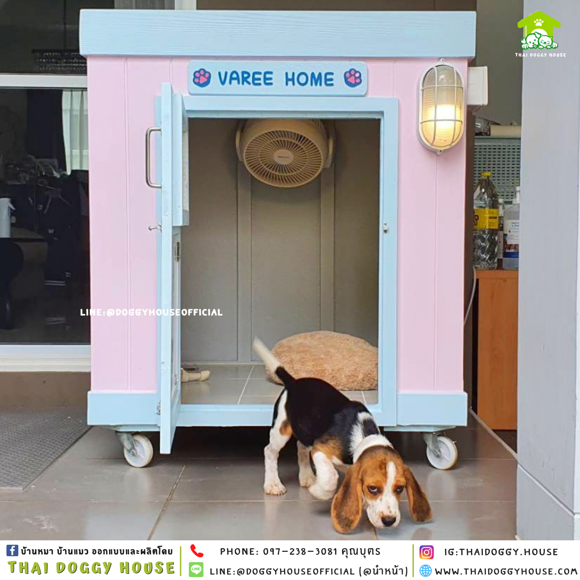 บ้านหมา หลังเล็ก ทรง 𝐁𝐎𝐗