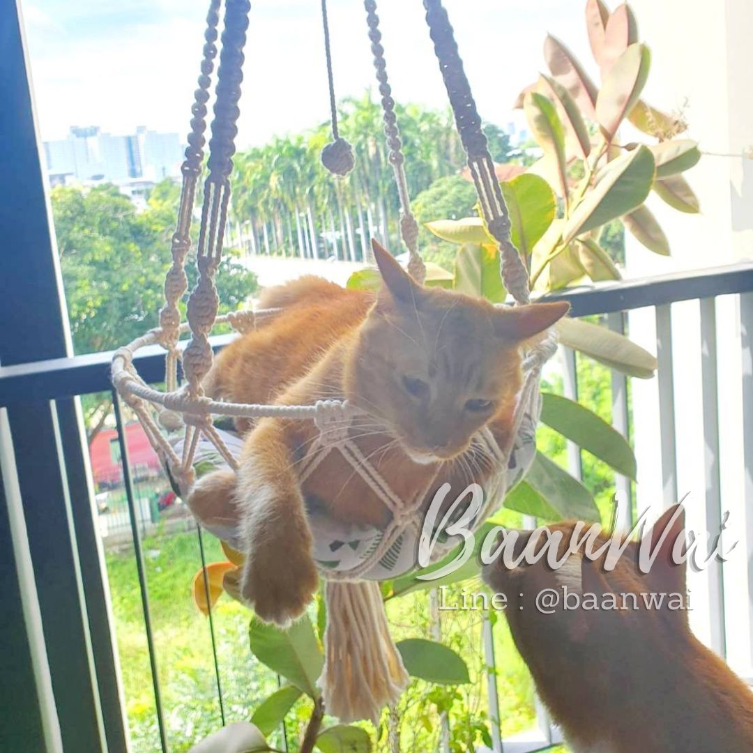 เปลนอนน้องแมว เชือกถัก Macrame