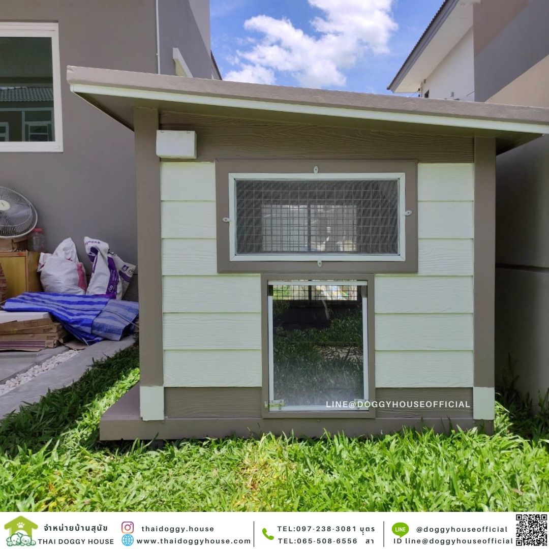 บ้านหมา