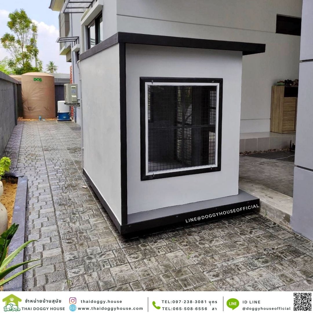 บ้านหมา แบบบ้าน Box style