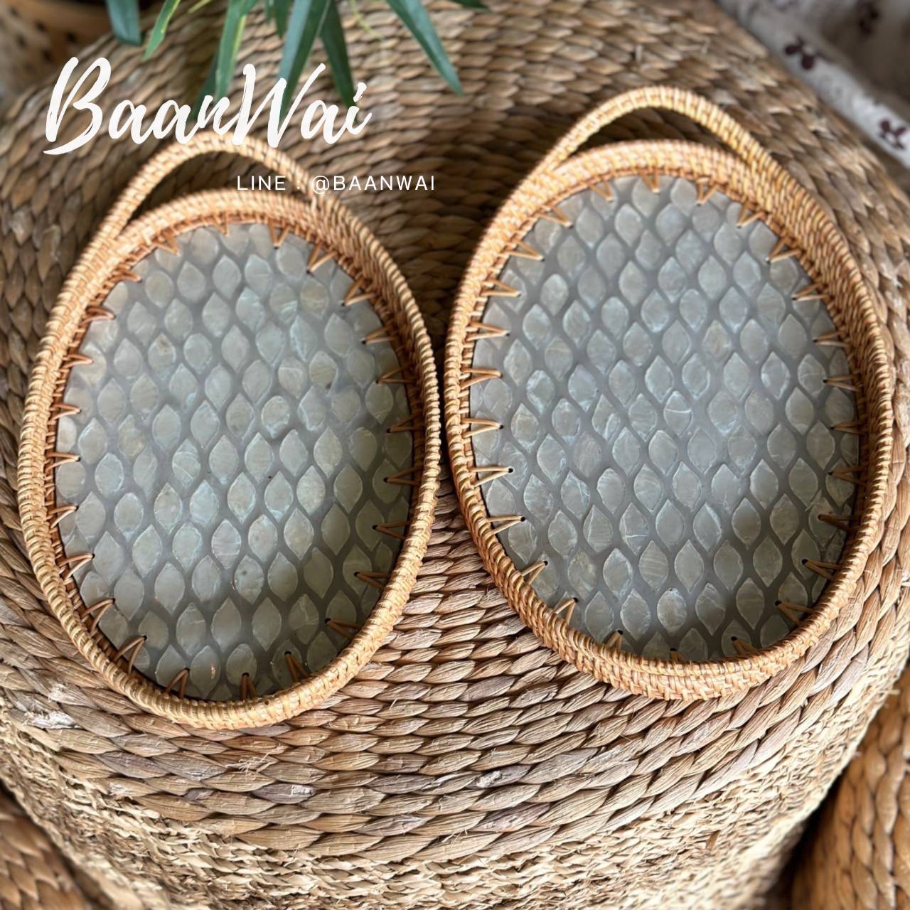 ถาดหวาย ทำลายจากเปลือกหอย ทรงรี