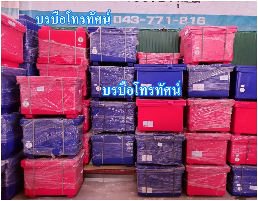 ถังแช่น้ำแข็งพลาสติก #ถังน้ำแข็ง ขนาดใหญ่