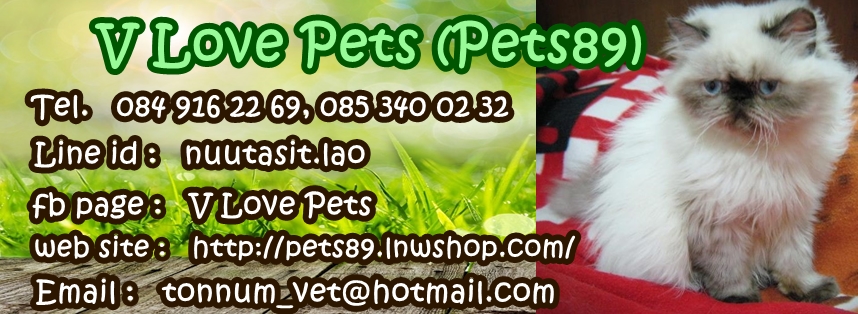 สินค้าสำหรับสัตว์เลี้ยง, แก๊งสัตว์เลี้ยง ฯลฯ
