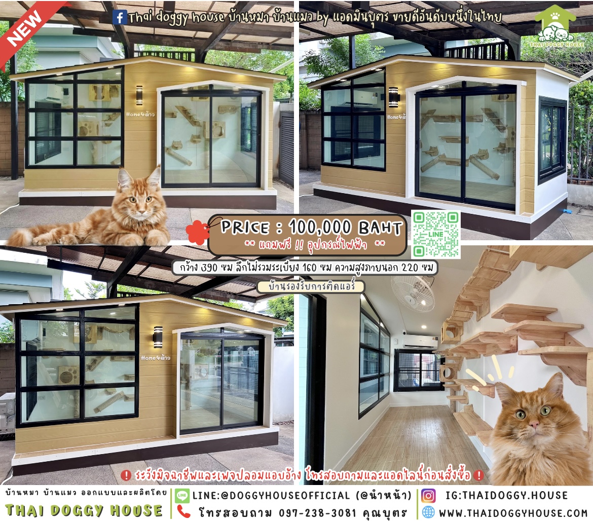 🏡🐈บ้านแมว รองรับการติดแอร์ 𝑵𝒐𝒓𝒅𝒊𝒄 𝑺𝒕𝒚𝒍𝒆 🐾