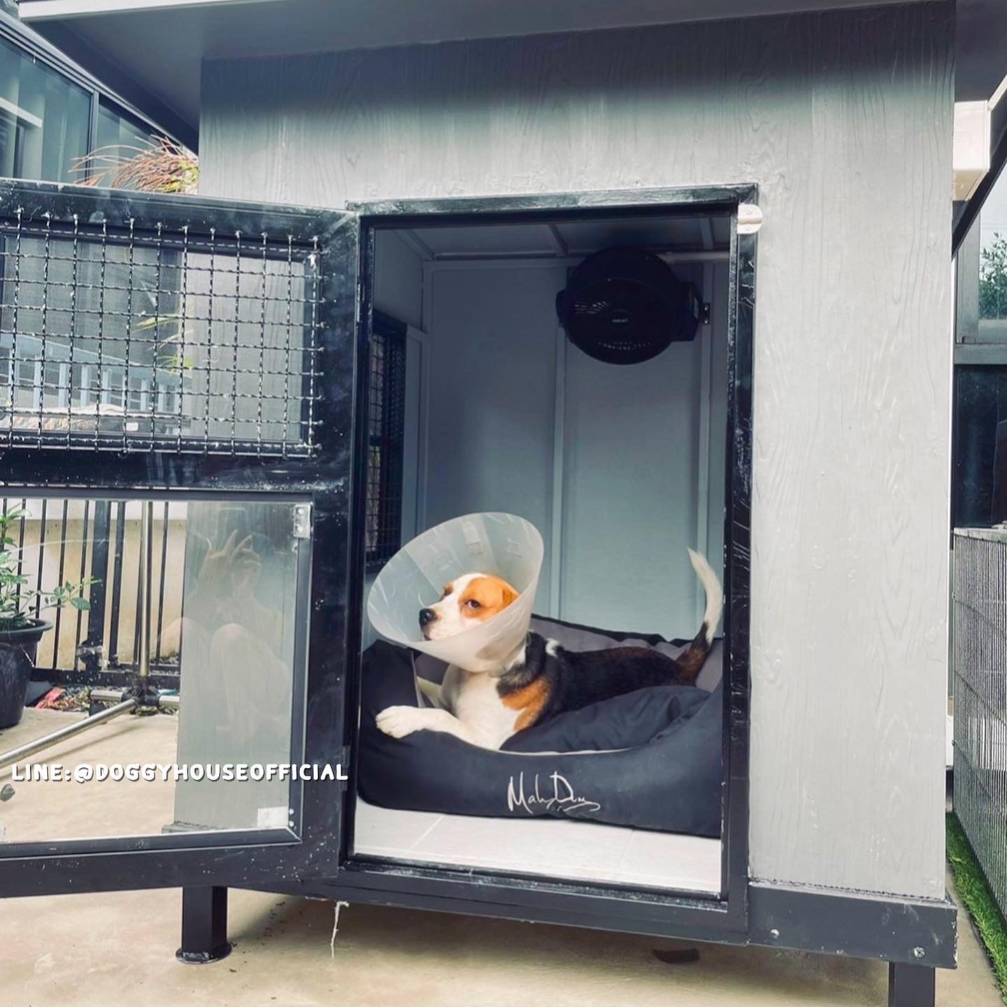 บ้านหมา แบบบ้าน 𝐕𝐢𝐧𝐭𝐚𝐠𝐞 𝐬𝐭𝐲𝐥𝐞