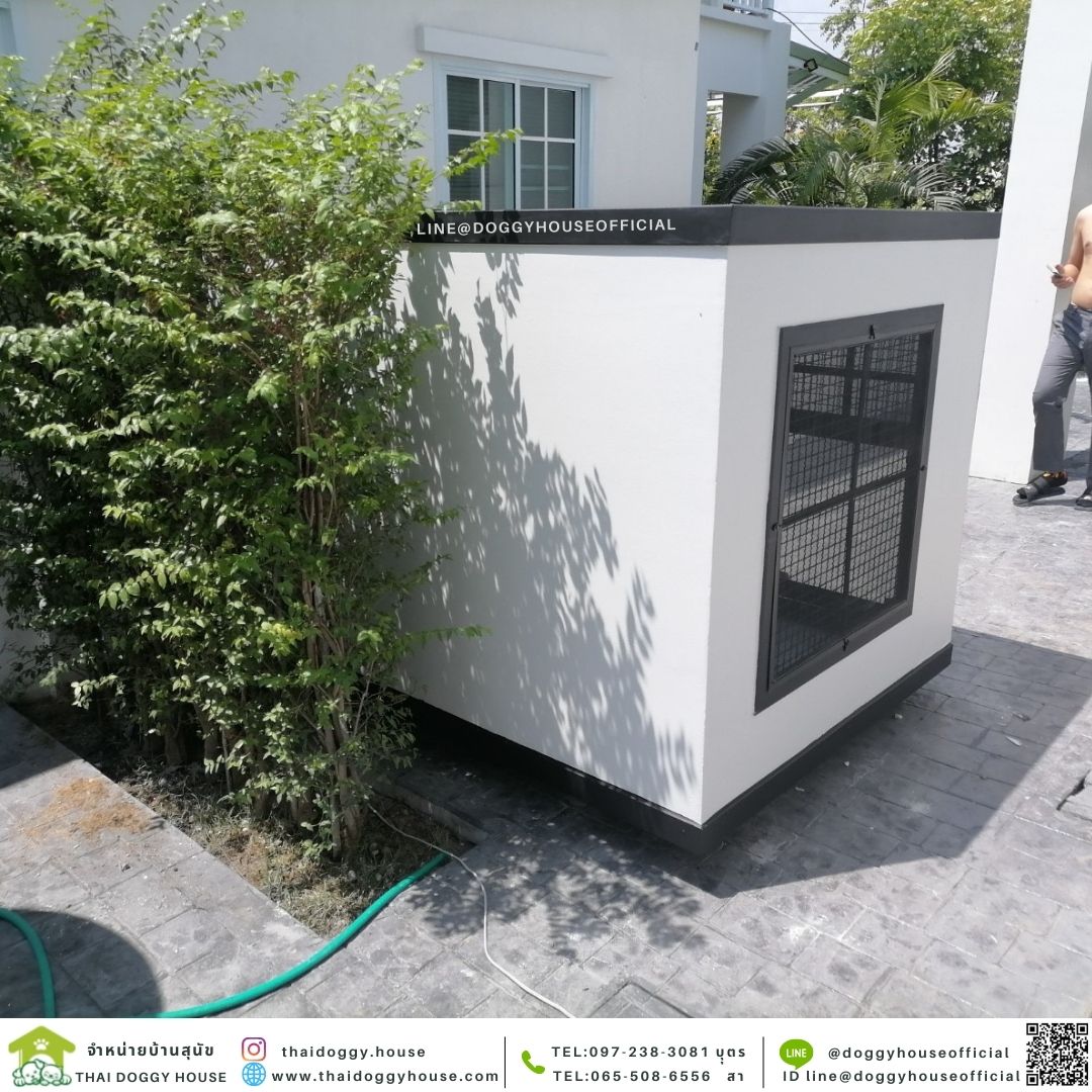 บ้านหมา