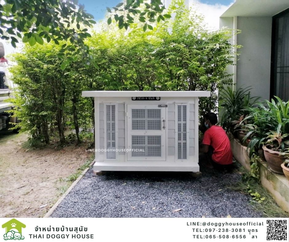 บ้านหมา