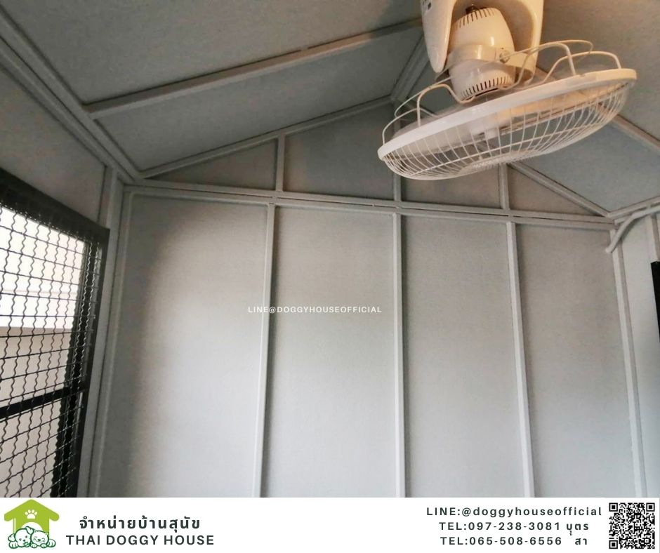 บ้านหมา ทรงจั่ว