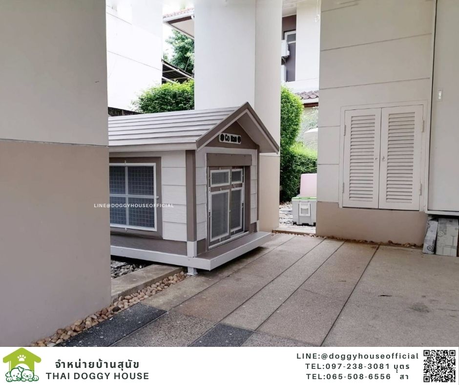 บ้านหมา