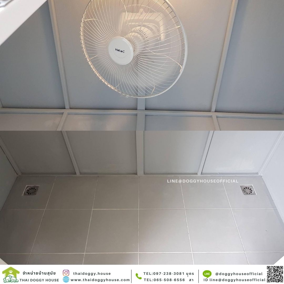 บ้านหมา