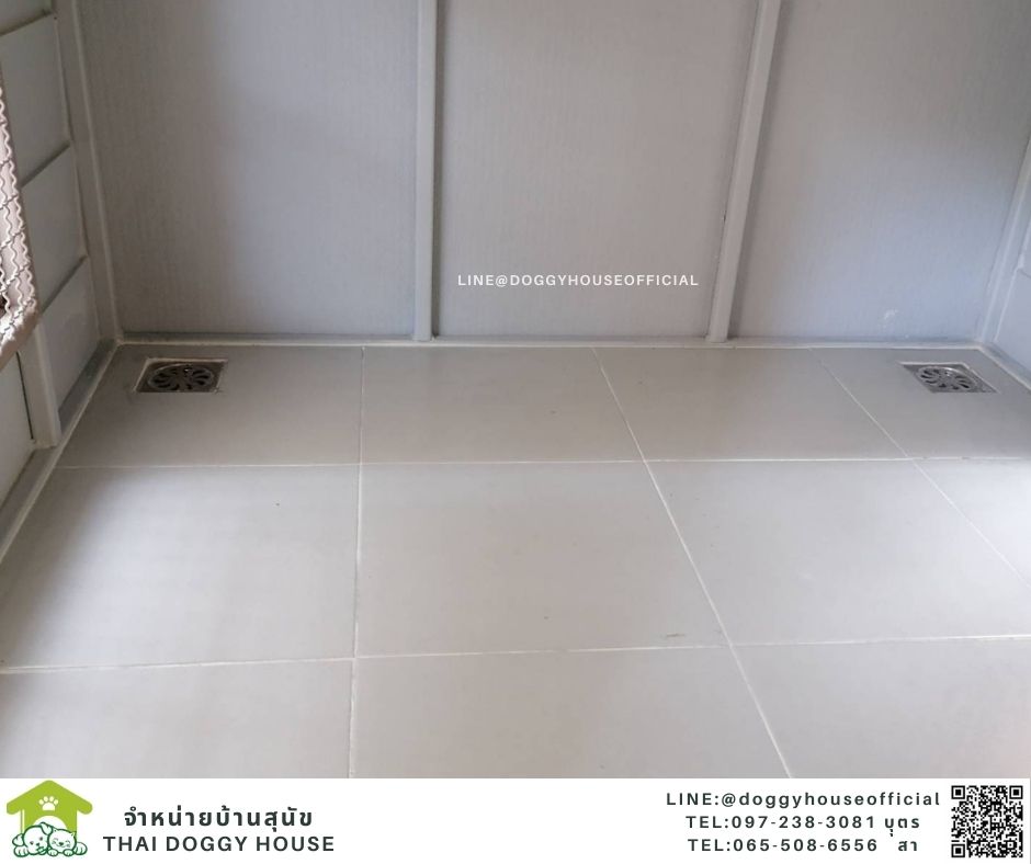 บ้านหมา