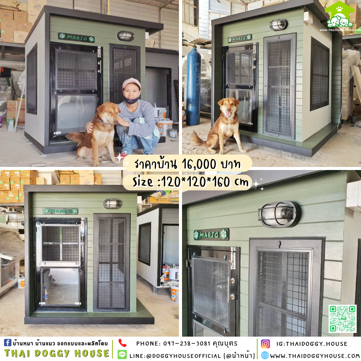 🏡บ้านหมา บ้านแมว แบบบ้านพัดลม แบบบ้าน 𝐁𝐨𝐱 𝐒𝐭𝐲𝐥𝐞🐶🐱