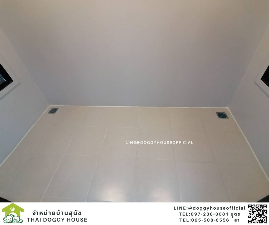 บ้านหมา