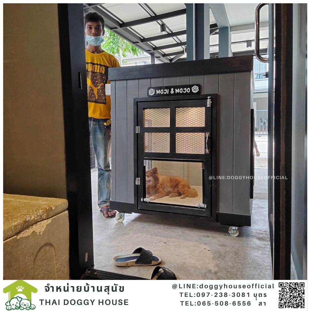 บ้านหมาทรงBOX