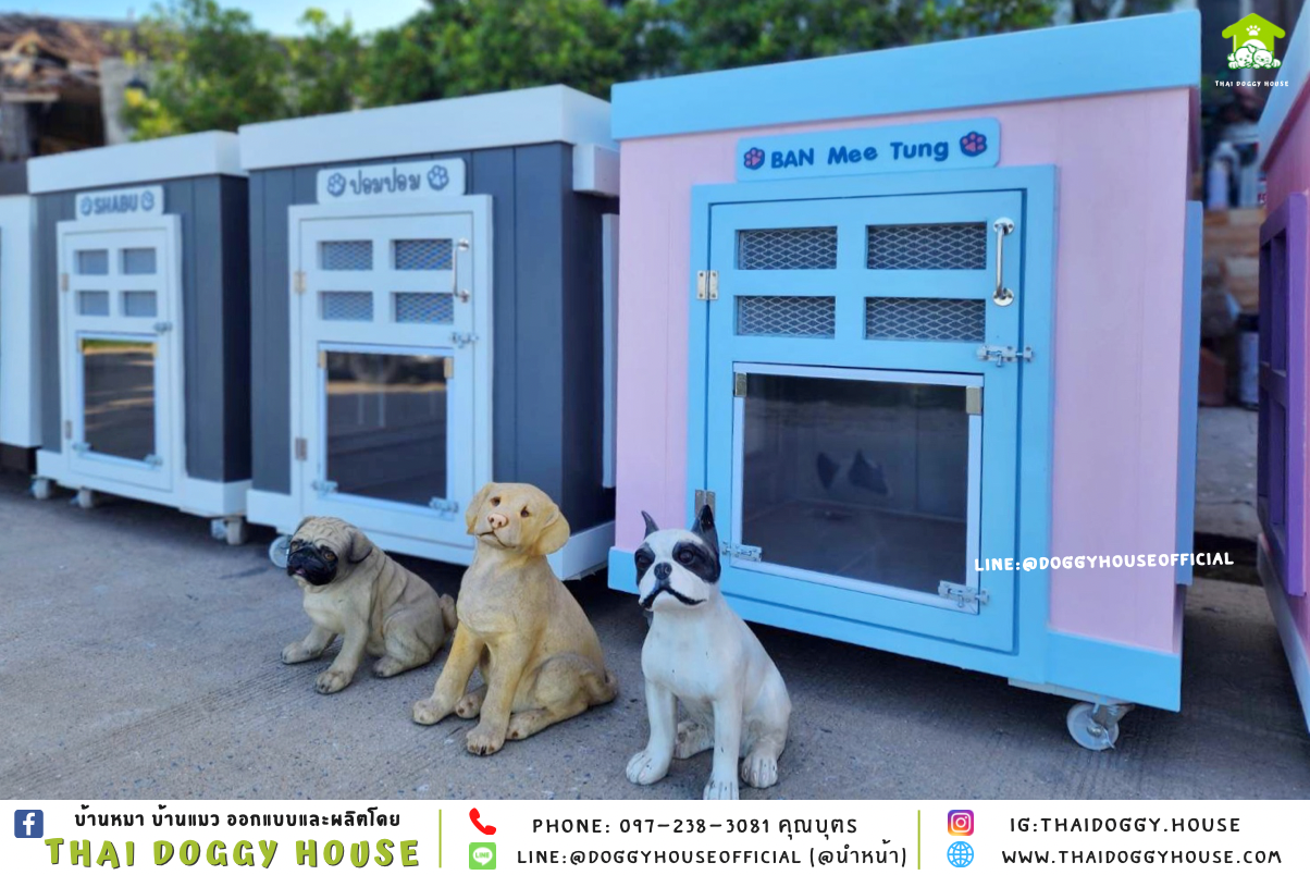 บ้านหมา ทรง 𝐁𝐎𝐗