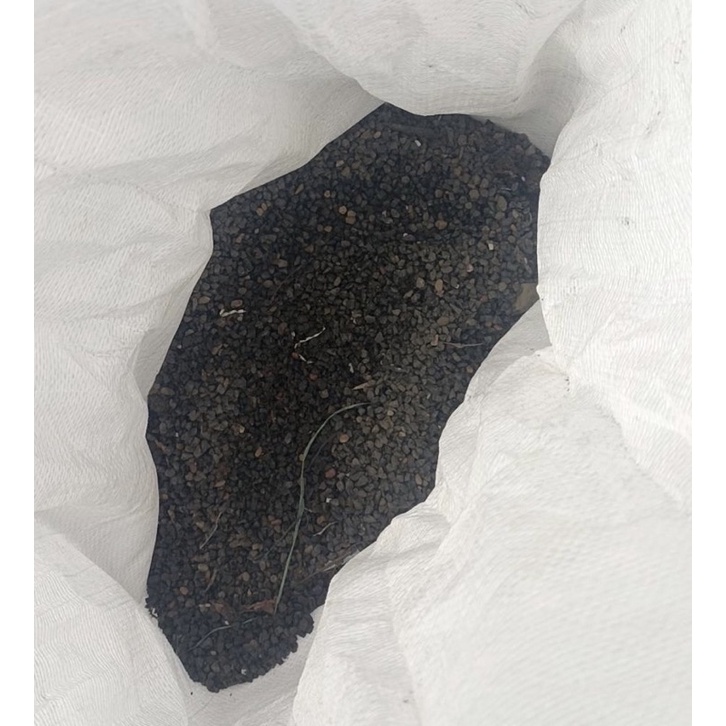 ท้าวเวสสุวรรณ ผสมมวลสารนิลดำทั้งองค์ สูง15นิ้ว เนื้อนิลเเท้