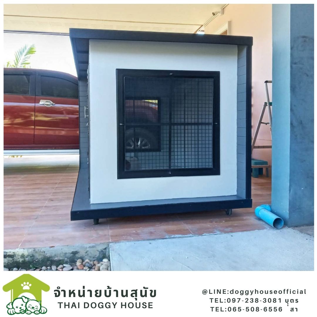 บ้านหมา