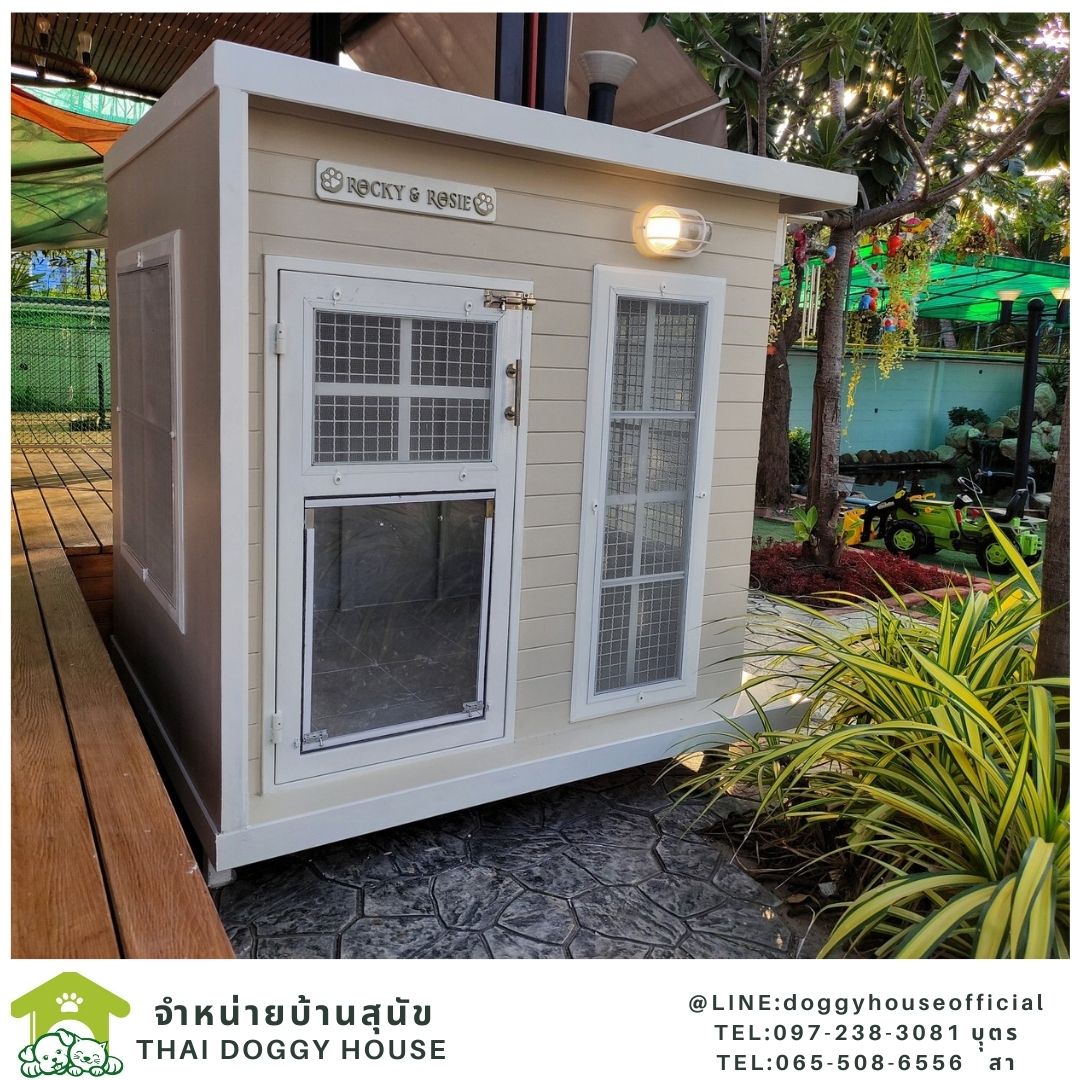 บ้านหมา รุ่นนิยม