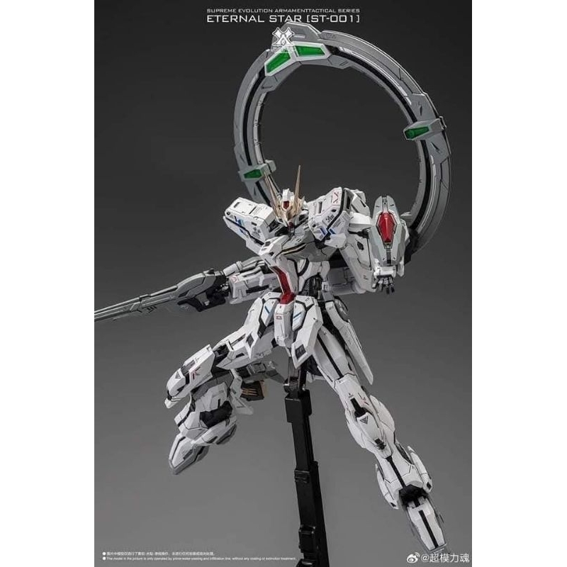SMF - MG 1/100 Glory Stargazer