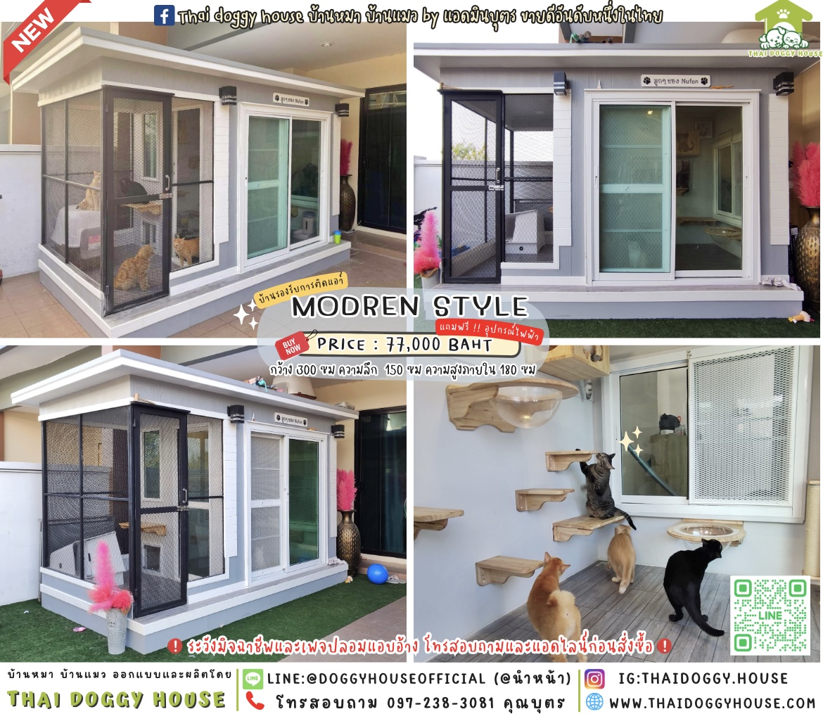 🏡 𝘾𝙖𝙩 𝙝𝙤𝙪𝙨𝙚 𝙈𝙤𝙙𝙚𝙧𝙣 𝙨𝙩𝙮𝙡𝙚 & 𝙤𝙪𝙩𝙙𝙤𝙤𝙧 ˚⋅ &