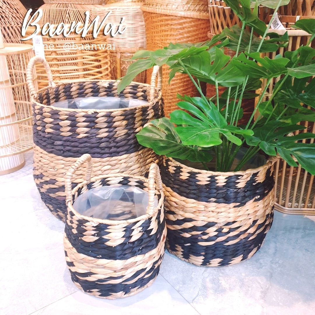 ตะกร้าต้นไม้ ตะกร้าผักตบชวา กระถางต้นไม้ลายคาดดำ กระถางต้นไม้