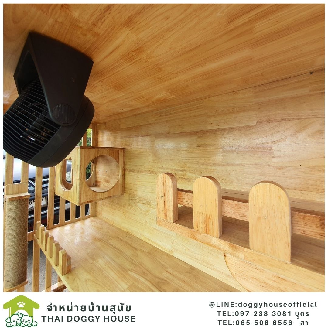 บ้านแมว สไตล์มินิมอล