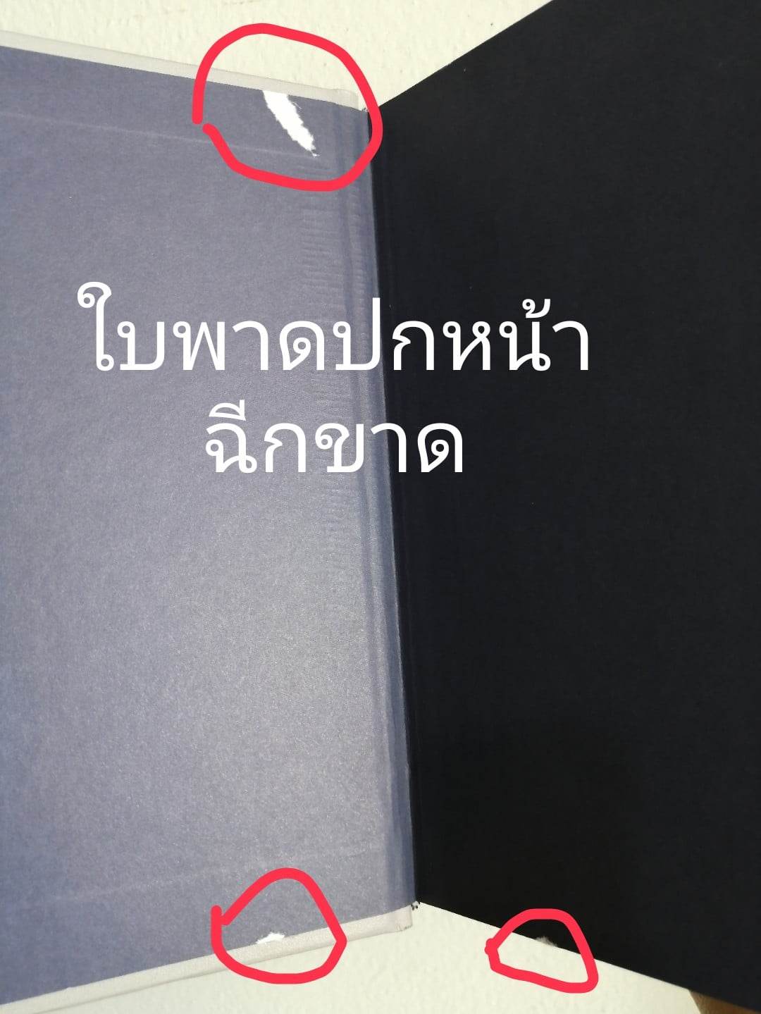 อาถรรพ์ภาพวาดเสือดำ/ปข