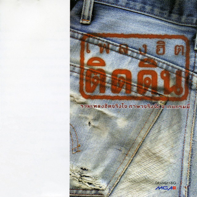 รวมศิลปิน - เพลงฮิต ติดดิน 1 / แผ่นสภาพนางฟ่า / โค้ด MGA