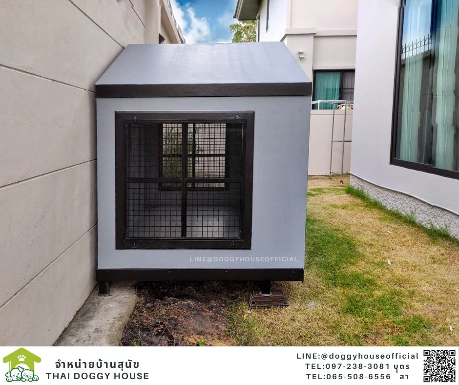 บ้านหมา ทรงจั่ว