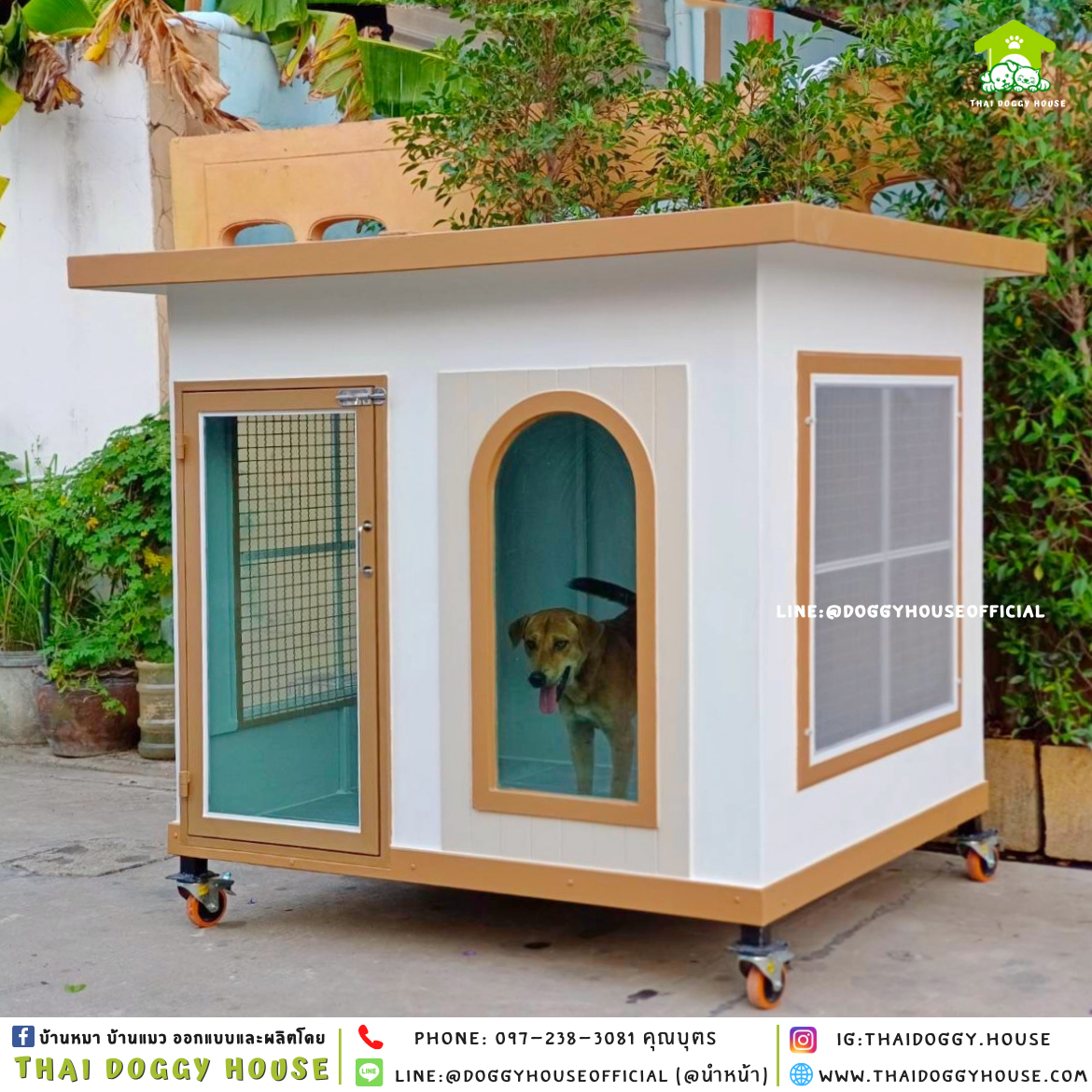 บ้านหมา แบบบ้าน 𝑩𝑶𝑿 𝑺𝑻𝒀𝒍𝑬