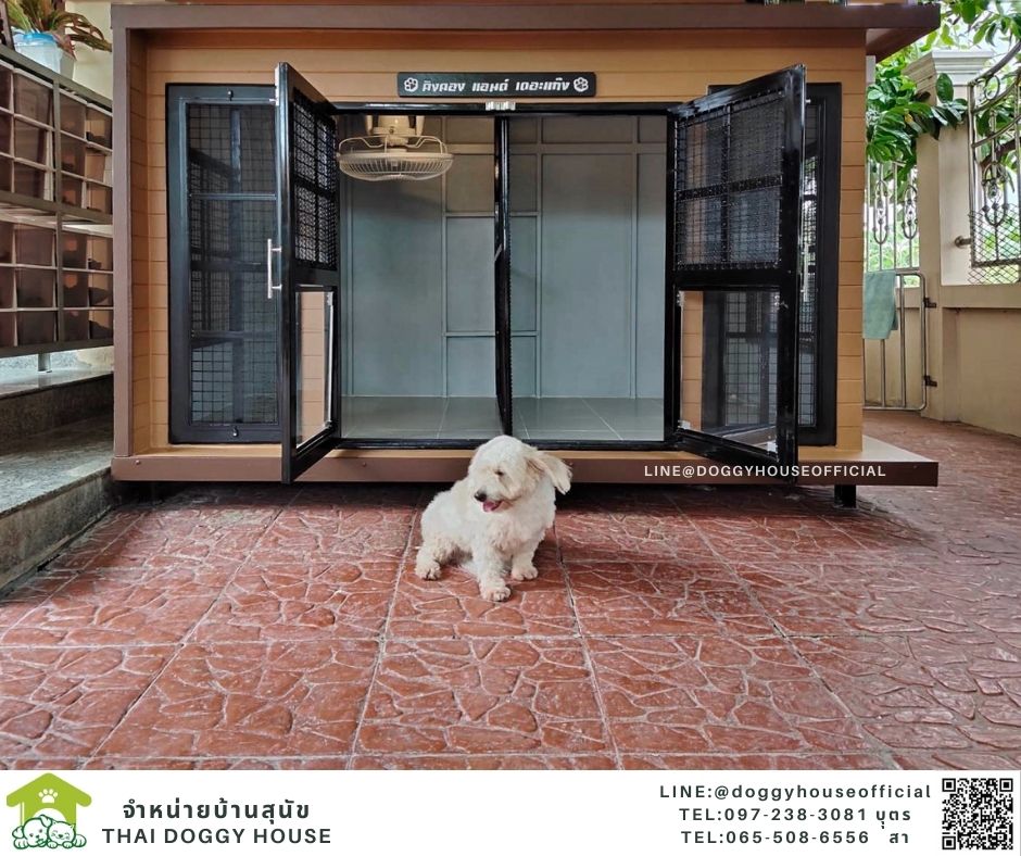 บ้านหมา