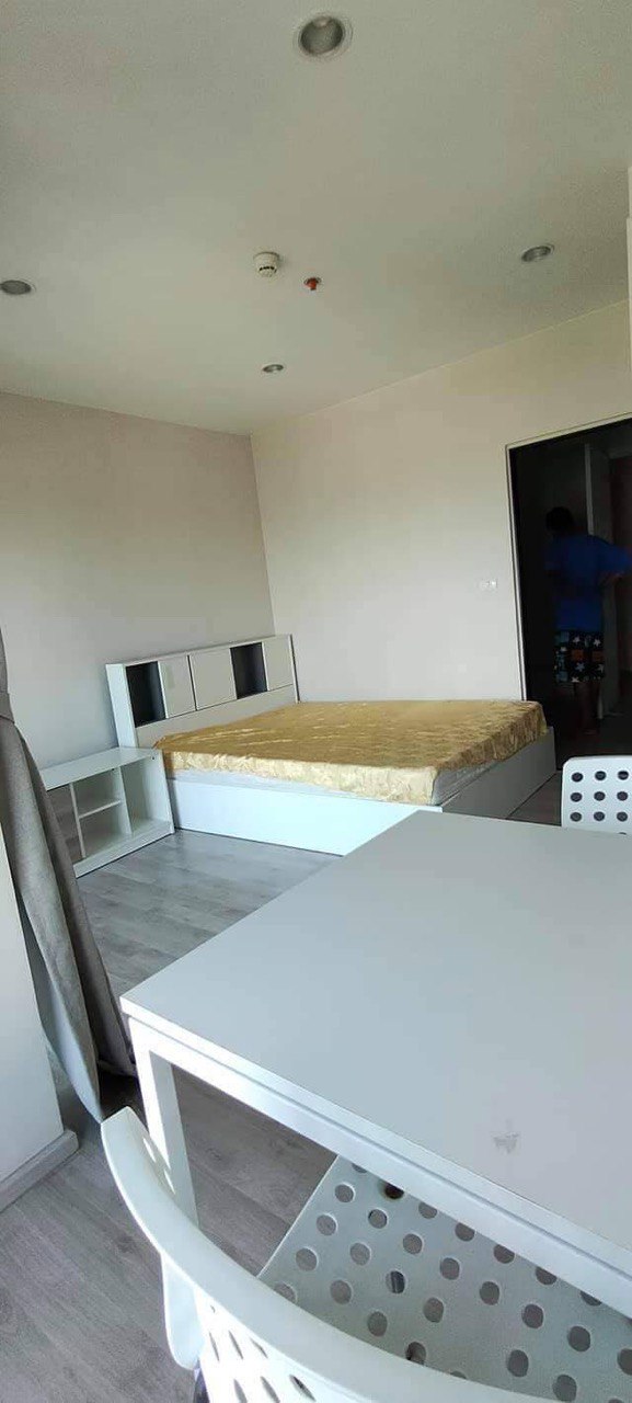 Plum Condo Central Station