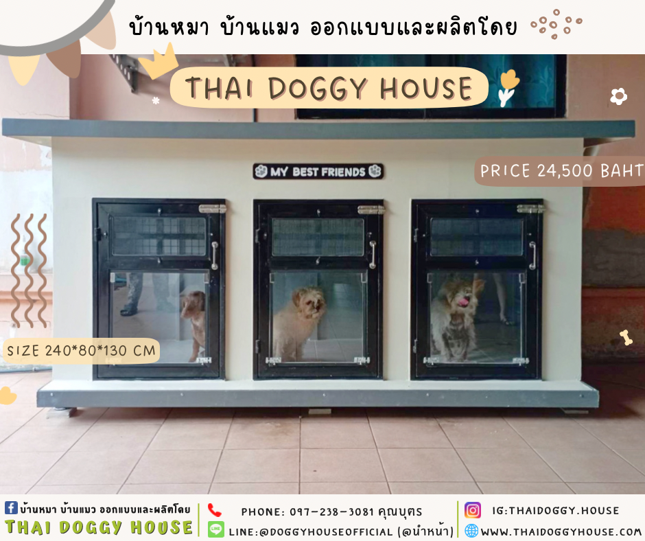 บ้านหมา แบบบ้าน “𝐁𝐎𝐗 𝐒𝐓𝐘𝐋𝐄” 3 ห้อง