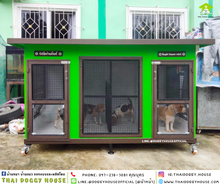 บ้านหมา แบ่ง 𝟐 ห้อง แบบบ้าน 𝐁𝐎𝐗 𝐒𝐓𝐘𝐋𝐄